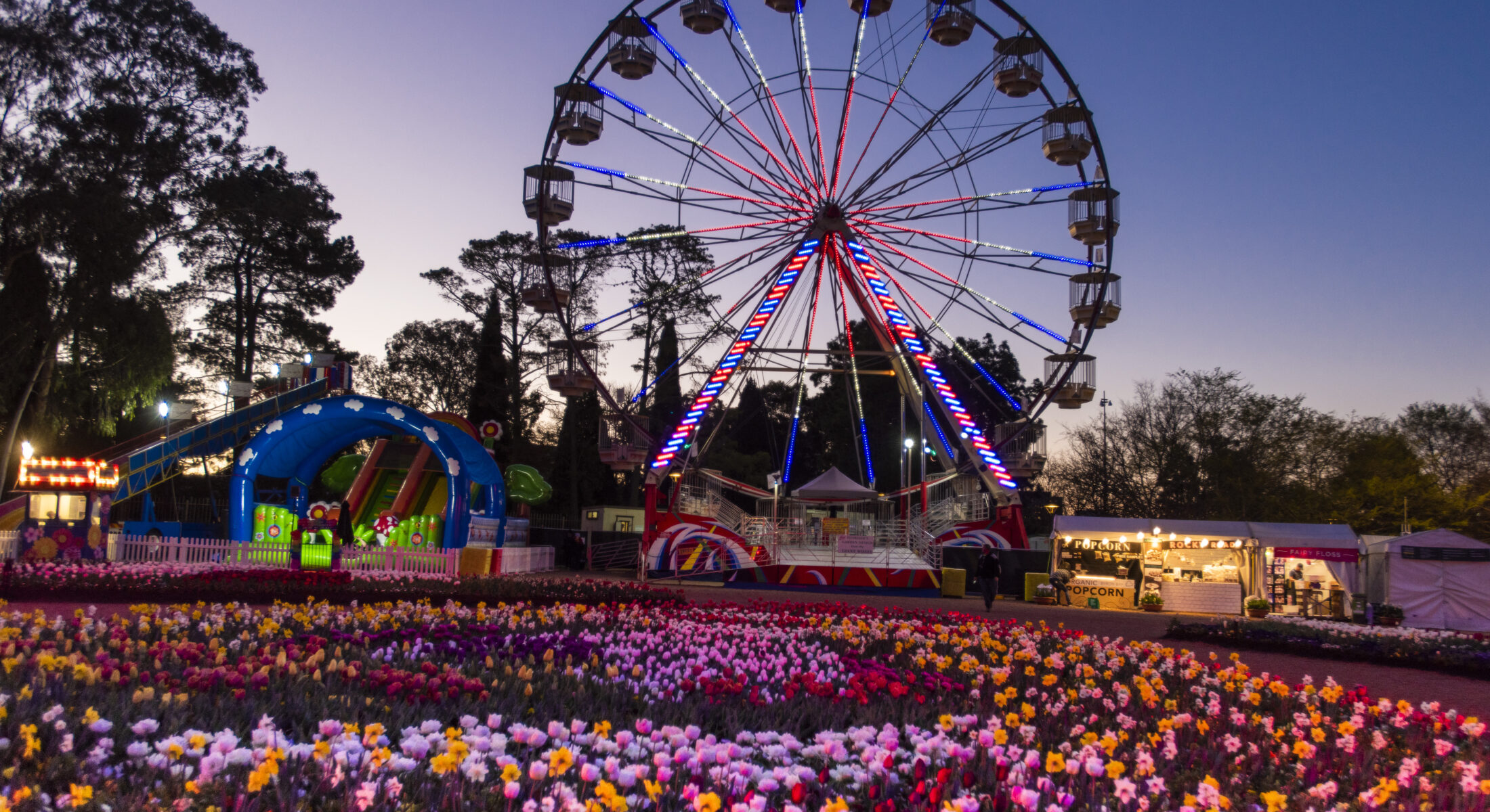 Ferris Wheel at Floriade